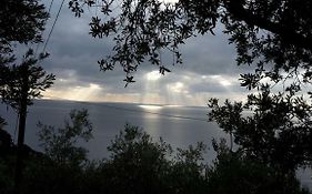Corner Of Paradise Near Cinque Terre